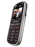 Best available price of Motorola WX288 in Gc
